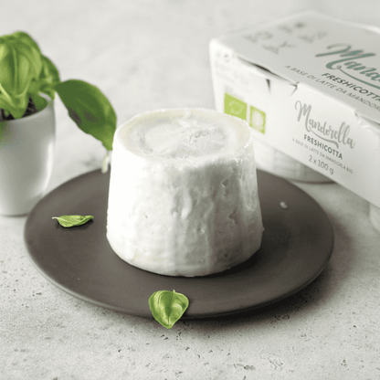 Pflanzliche Alternative zu Ricotta "FRESHICOTTA" 100gr x 2